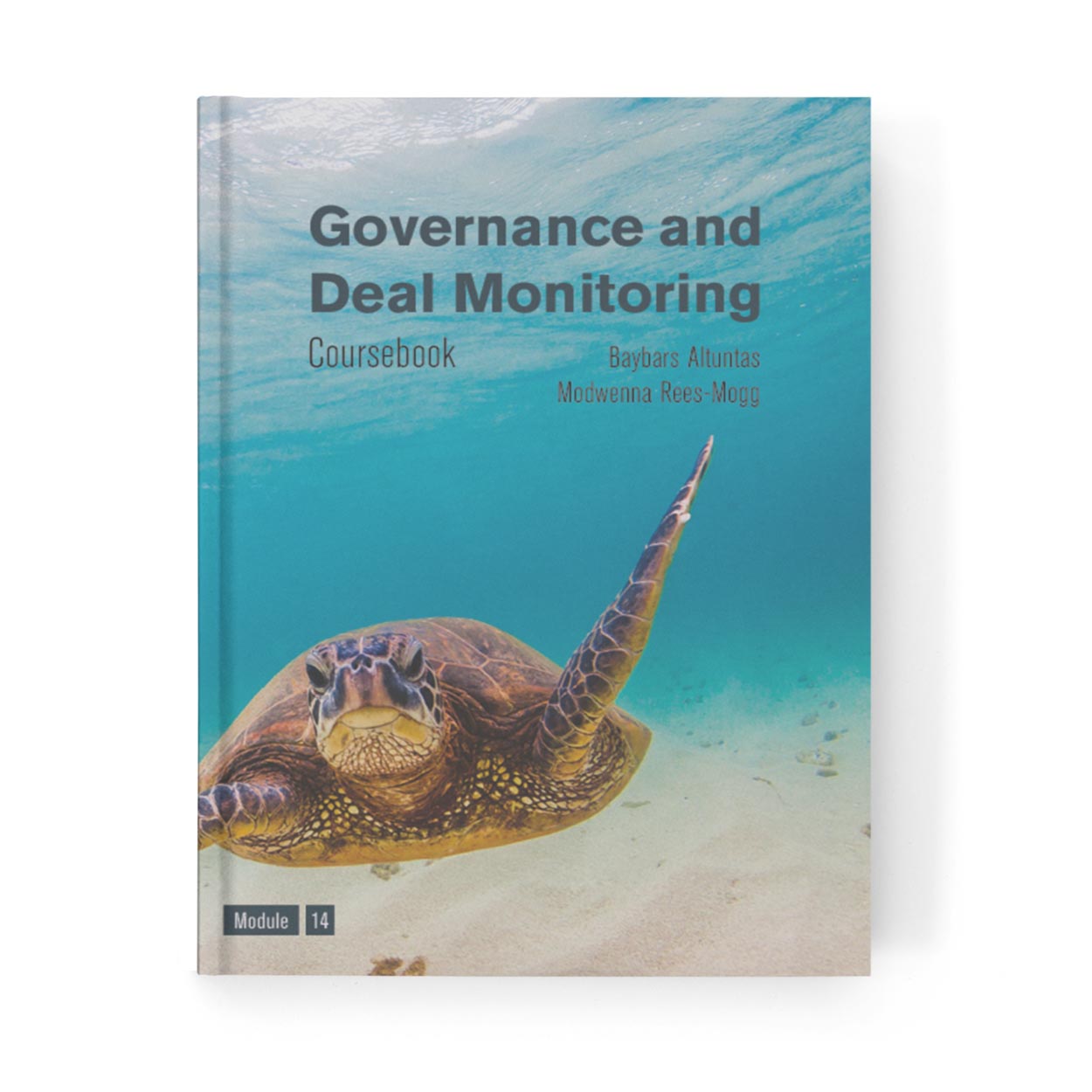 Governance and Deal Monitoring Coursebook
