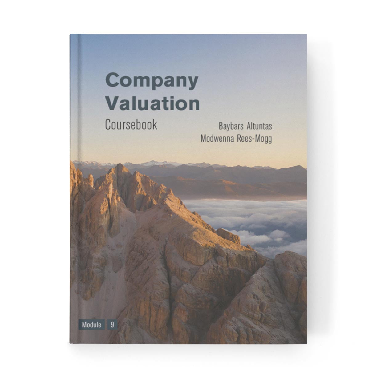 Company Valuation Coursebook