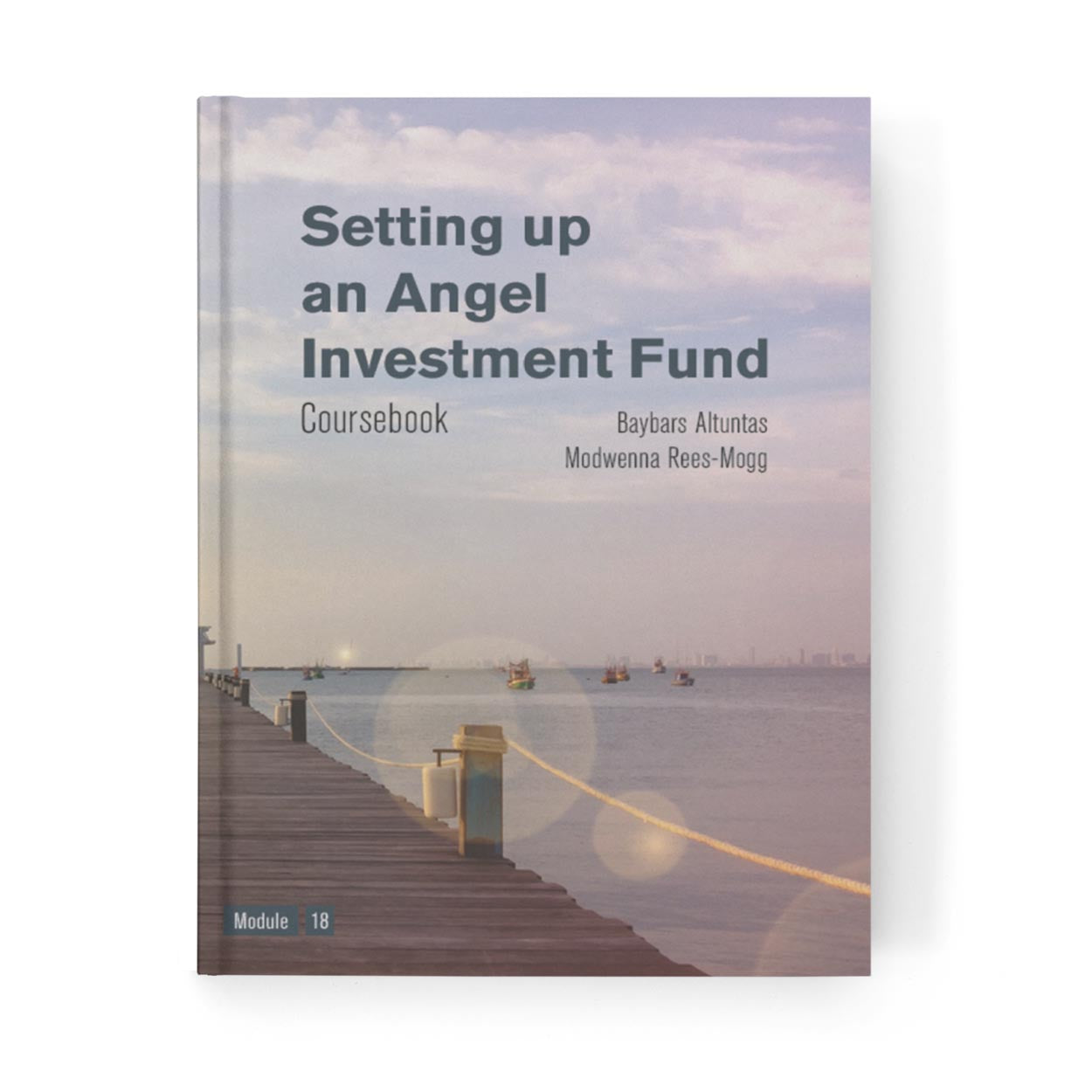 Setting up an Angel Investment Fund Coursebook