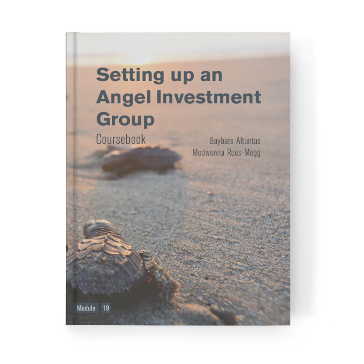 Setting up an Angel Investment Group Coursebook