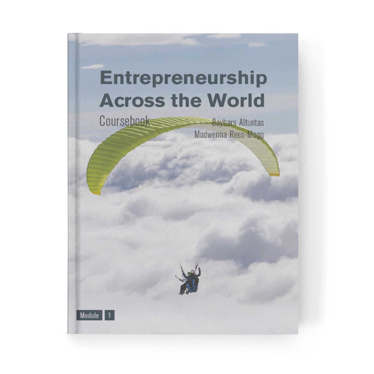 Entrepreneurship Across the World Coursebook
