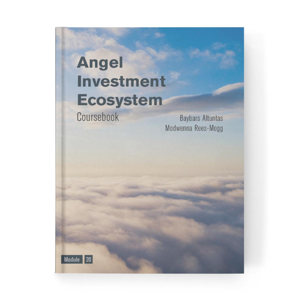 Angel Investment Ecosystem Coursebook