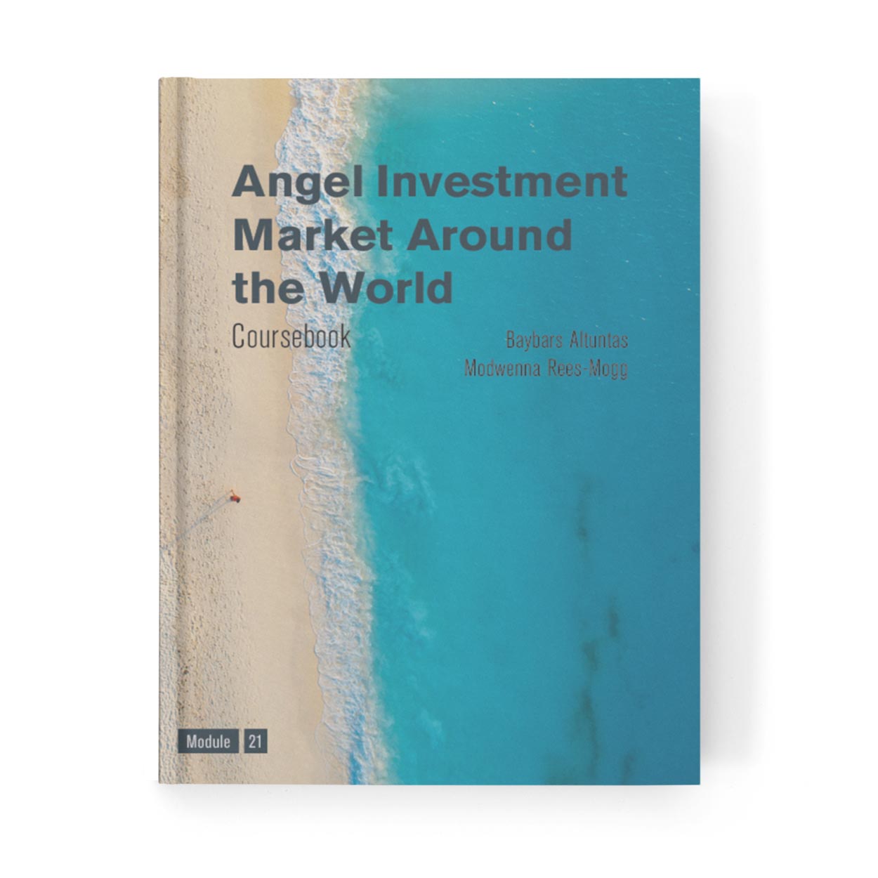 Angel Investment Market Around the World Coursebook