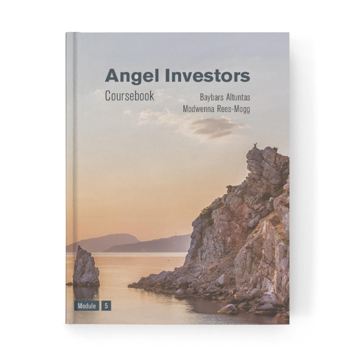 Angel Investors Coursebook