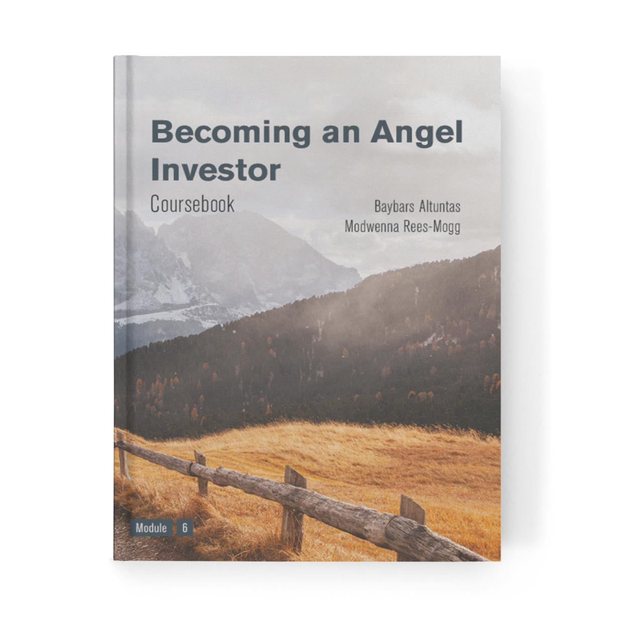 Becoming an Angel Investor Coursebook